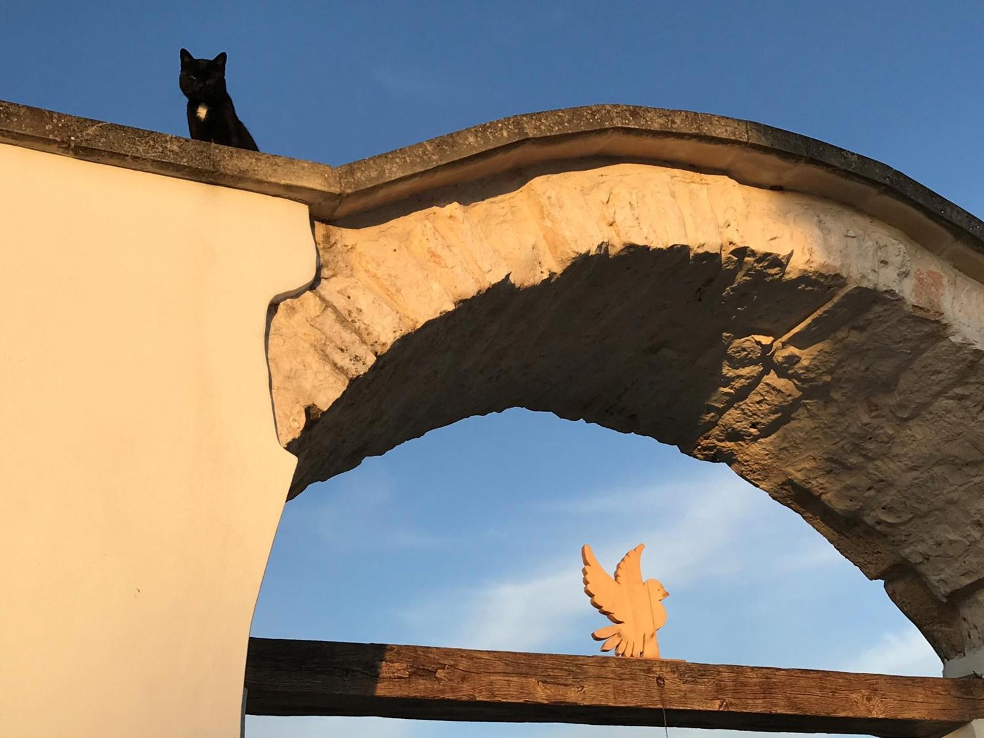 Relais Masseria Della Colomba - Agriturismo Francavilla Fontana Εξωτερικό φωτογραφία